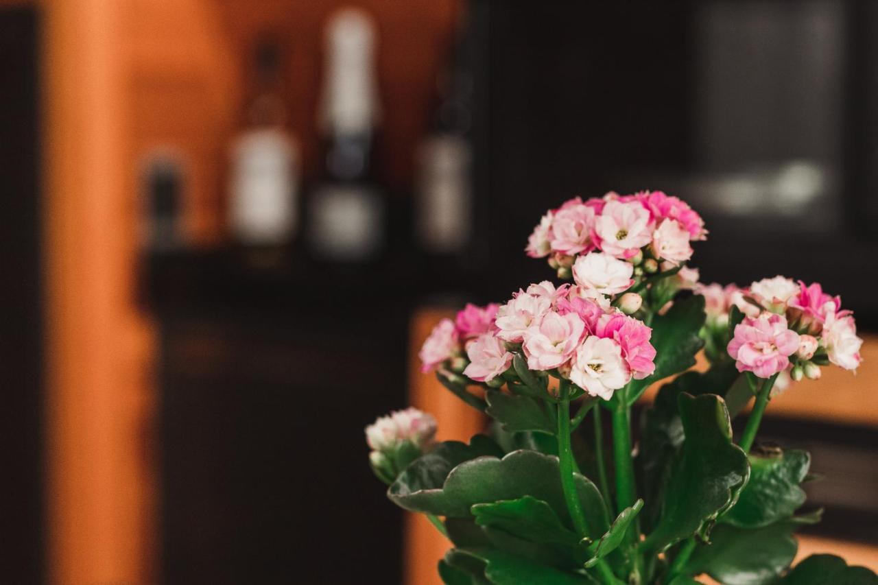 Chale Romantico Com Banheira De Hidromassagem E Lareira Bom Retiro  Εξωτερικό φωτογραφία